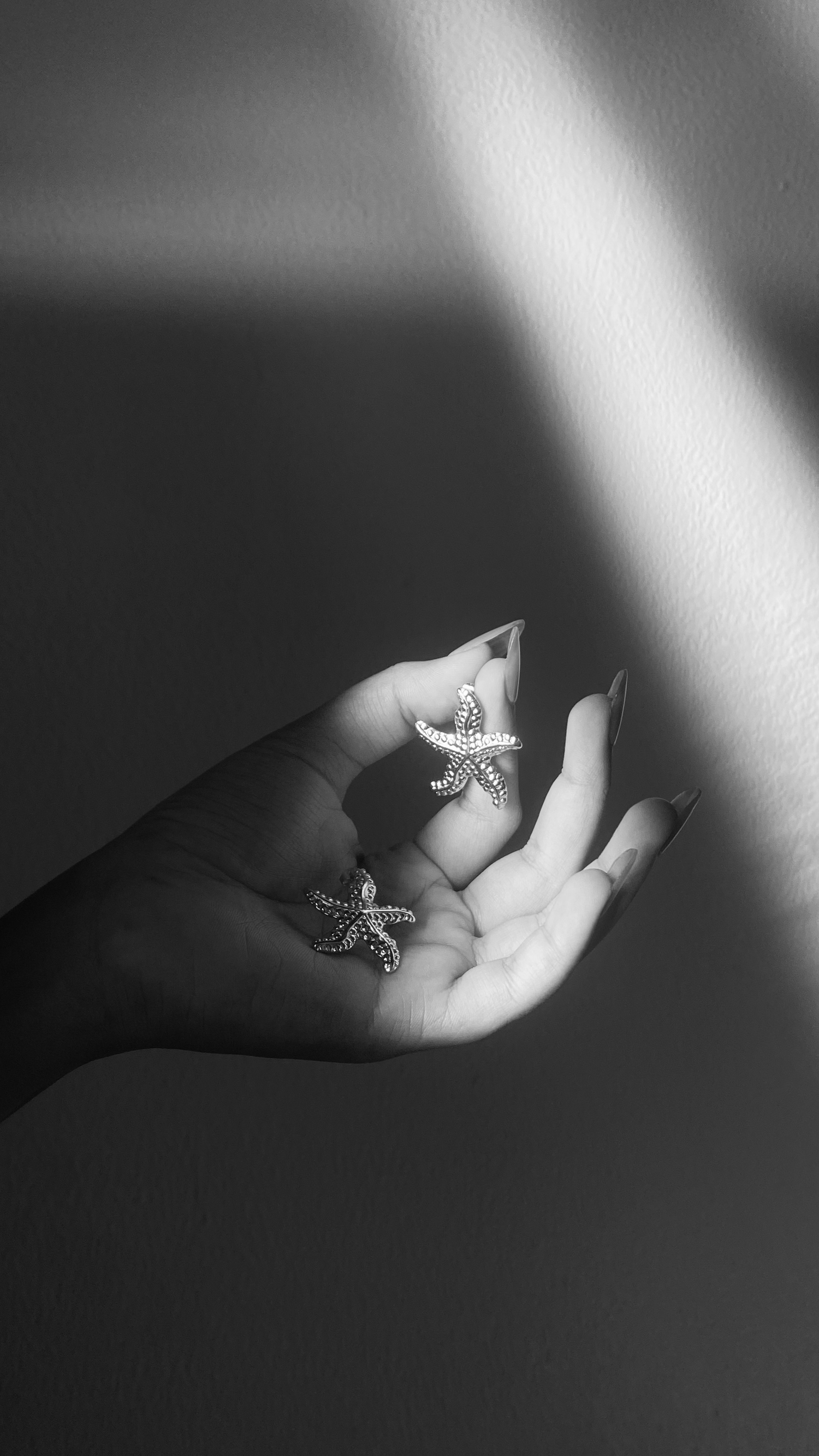 lookbook image shop_this_look_AVdw3f